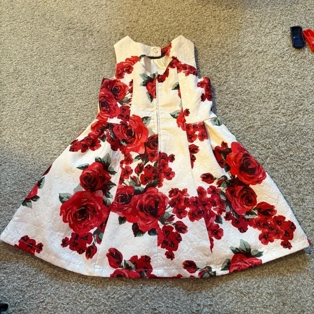 Children’s Place Floral A-line Pleated Dress Sz 6 Rose Swing Textured Red White